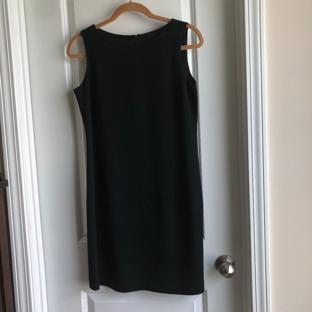 Garfield Marks Petite Dress Size 10